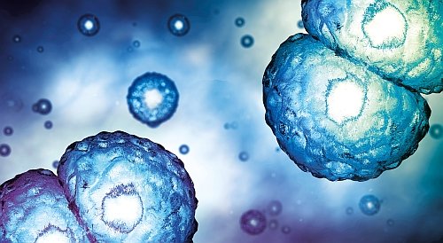 Novo Nordisk Pharmatech A/S