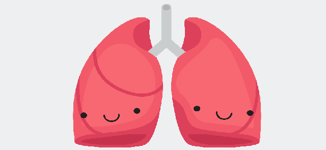 Lungs Lungs